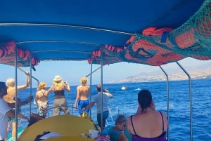 ベルーガ潜水艦ガラス底ボートツアー（スノーケリングオプション付き）