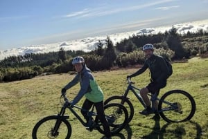 BIKE TOUR - BOTANICAL LEVELS OF MADEIRA, TRAIL EXPERIENCE