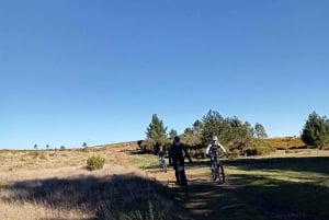 BIKE TOUR - BOTANICAL LEVELS OF MADEIRA, TRAIL EXPERIENCE