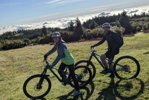 TOUR IN BICICLETTA - LIVELLI BOTANICI DI MADEIRA, ESPERIENZA DI PERCORSO
