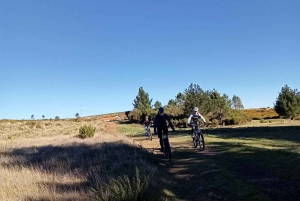 TOUR IN BICICLETTA - LIVELLI BOTANICI DI MADEIRA, ESPERIENZA DI PERCORSO