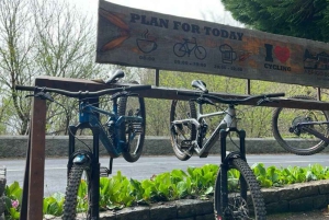 TOUR IN BICICLETTA - LIVELLI BOTANICI DI MADEIRA, ESPERIENZA DI PERCORSO
