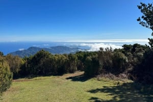 TOUR IN BICICLETTA - LIVELLI BOTANICI DI MADEIRA, ESPERIENZA DI PERCORSO