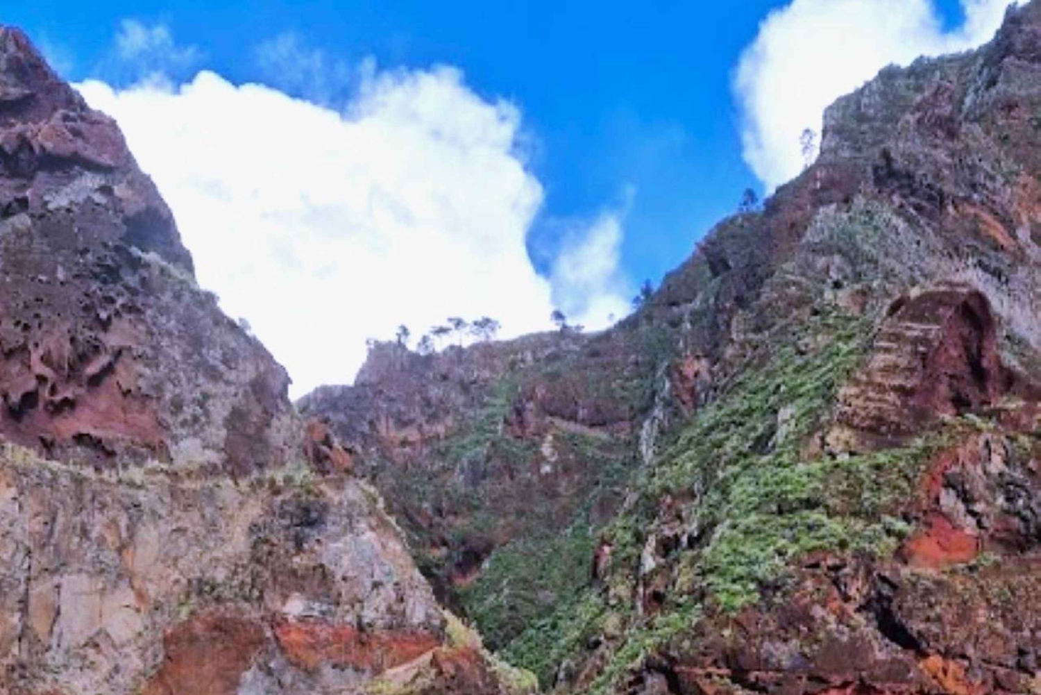 Passeio pelo oeste doce da Bird Island