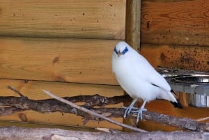 Bird Island sweet west tour