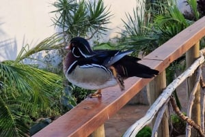 Bird Island sweet west tour