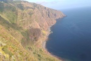 Passeio pelo oeste doce da Bird Island