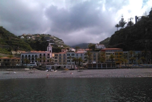 Passeio pelo oeste doce da Bird Island