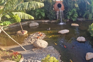 Passeio pelo oeste doce da Bird Island