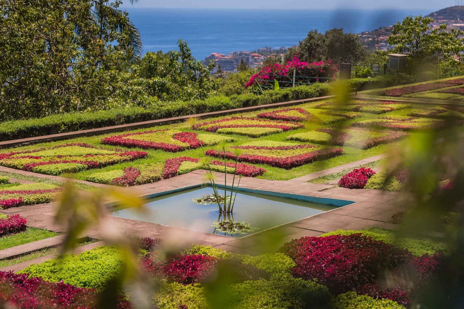 Funchal: Botanical Garden and Old Town Private Tuk-Tuk Tour