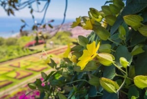 Funchal: Botanical Garden and Old Town Private Tuk-Tuk Tour