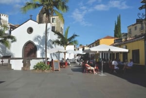 Funchal: Botanical Garden and Old Town Private Tuk-Tuk Tour