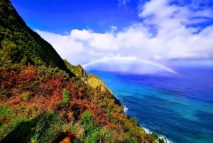 Madeira E-Buggy Adventure: 4x4 thrill & epic views! Book now