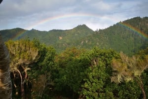 Madeira E-Buggy Adventure: 4x4 thrill & epic views! Book now