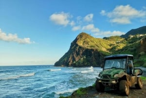 Madeira E-Buggy Adventure: 4x4 thrill & epic views! Book now