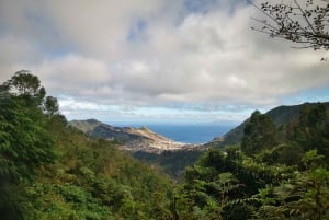 Madeira E-Buggy Adventure: 4x4 thrill & epic views! Book now