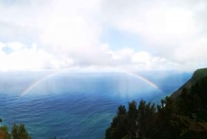 Madeira E-Buggy Adventure: 4x4 thrill & epic views! Book now