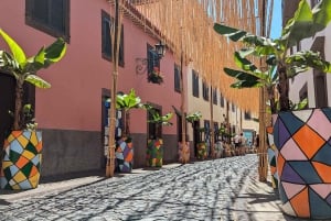 Cabo Girão: Immersive Private Tour 3h (Cabriolet Jeep)