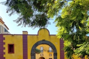 Cabo Girão, Seixal, Porto Moniz & more – Full Day + PickUp