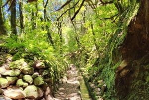 Cabo Girão, Seixal, Porto Moniz & more – Full Day + PickUp