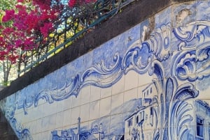 Cabo Girão, Seixal, Porto Moniz & more – Full Day + PickUp