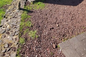 Cabo Girão, Seixal, Porto Moniz & more – Full Day + PickUp