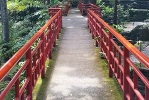 Cabo Girão, Seixal, Porto Moniz & more – Full Day + PickUp