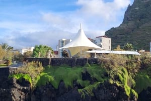 Cabo Girão, Seixal, Porto Moniz & more – Full Day + PickUp