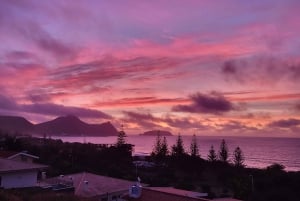 Cabo Girão, Seixal, Porto Moniz & more – Full Day + PickUp