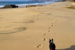 Cabo Girão, Seixal, Porto Moniz & more – Full Day + PickUp