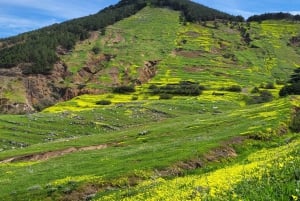 Cabo Girão, Seixal, Porto Moniz & more – Full Day + PickUp