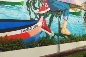 Cabo Girão, Seixal, Porto Moniz & more – Full Day + PickUp