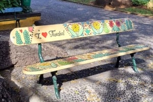 Cabo Girão, Seixal, Porto Moniz & more – Full Day + PickUp