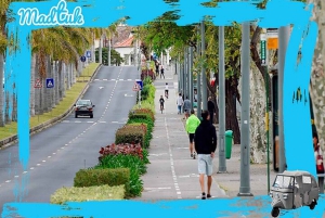 Cabo-Girão Skywalk + Tour en tuk-tuk por Câmara de Lobos con MadTuk