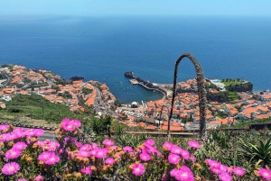 Cabo Girão Skywalk 3 tunnissa: yksityinen jeep-retki + C. Lobos