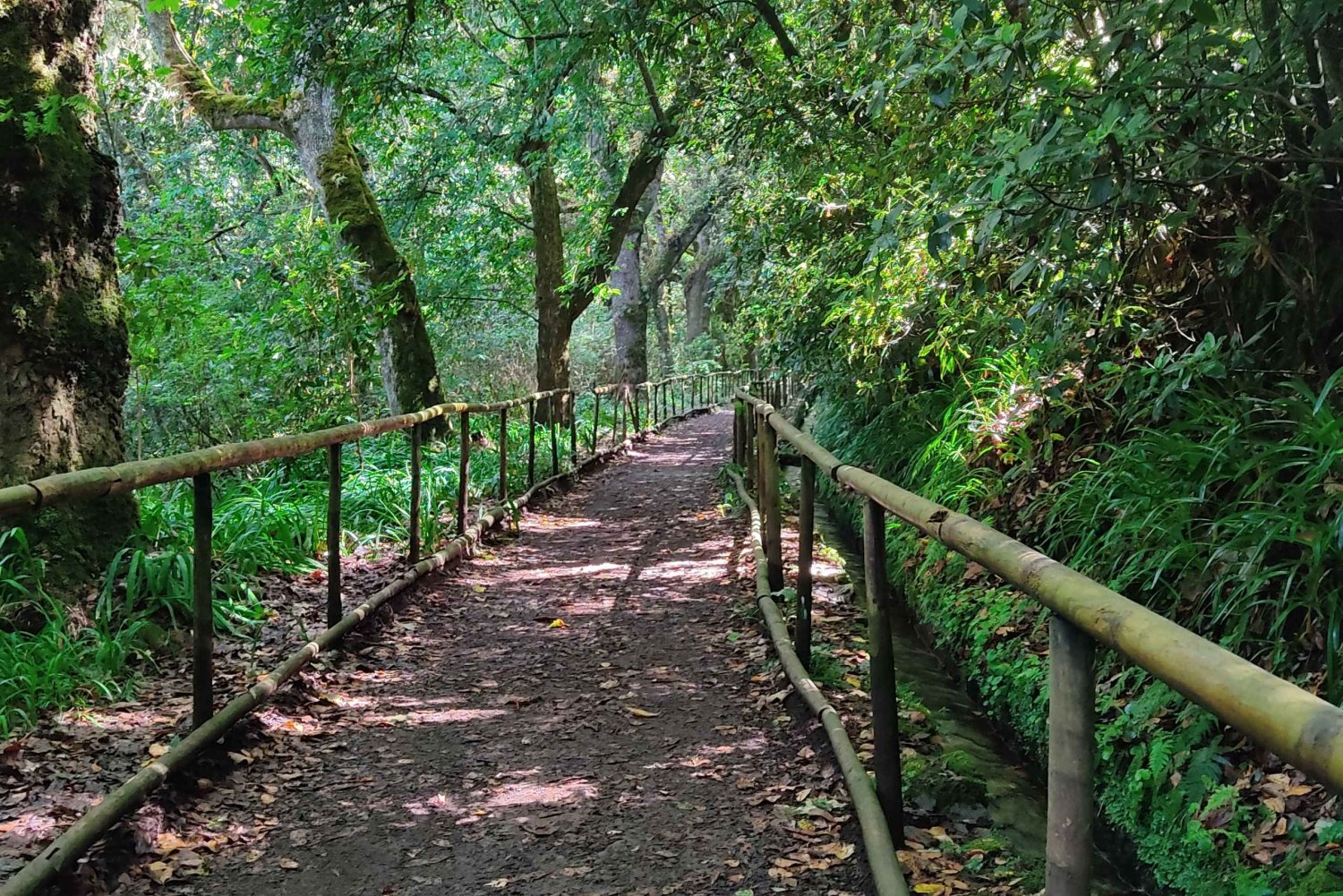 Caldeirão Verde Levada: Traslado de ida y vuelta y caminata