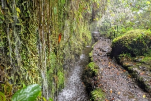 Caldeirão Verde: Queimadas PR9 Transfer and Self-Guided Hike