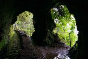 Caldeirão Verde Levada: Roundtrip Transfer & Hike