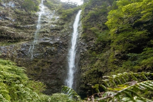 Caldeirão Verde: Queimadas PR9 Transfer and Self-Guided Hike