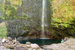 Caldeirão Verde Levada: Roundtrip Transfer & Hike