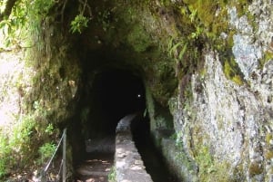 Caldeirão Verde: Queimadas PR9 Transfer Hike