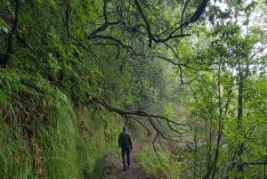 Caldeirão Verde: Queimadas PR9 Transfer Hike