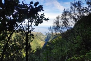 Caldeirão Verde: Queimadas PR9 Transfer Hike