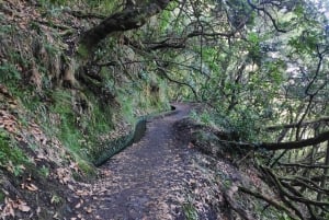 Caldeirão Verde: Queimadas PR9 Transfer Hike