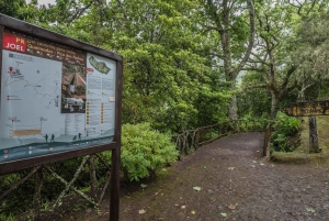 Caldeirão Verde: Queimadas PR9 Transfer Hike