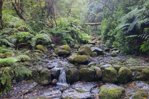 Caldeirão Verde: Queimadas PR9 Transfer Hike