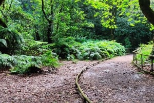 Caldeirão Verde: Queimadas PR9 Transfer Hike