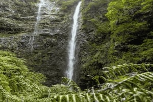 Caldeirão Verde: Queimadas PR9 Transfer Hike