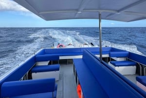 Madeira: LAATSTE OPROEP Oudejaarsavond - Vuurwerk op zee 2025/26