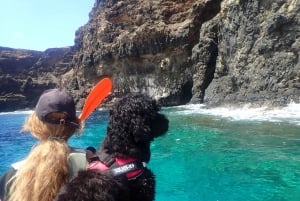 Calheta Kayak Adventure: Zimbralinho beach or Cal islet tour